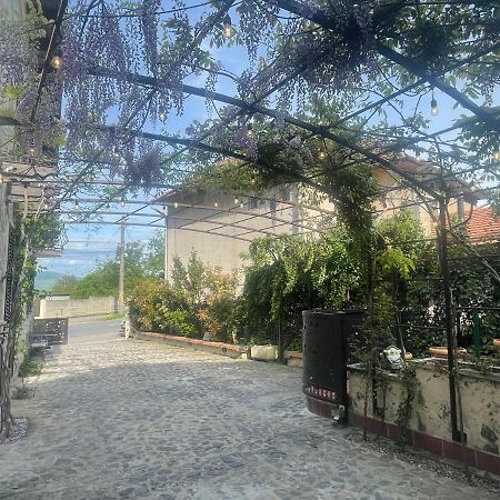 デヴァ Luxury House Teodoraヴィラ エクステリア 写真