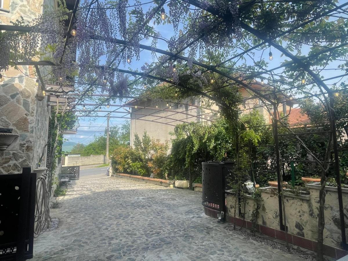 デヴァ Luxury House Teodoraヴィラ エクステリア 写真